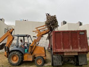 Intensifican Acciones de Limpieza y Mejora del Entorno en la Zona Norte